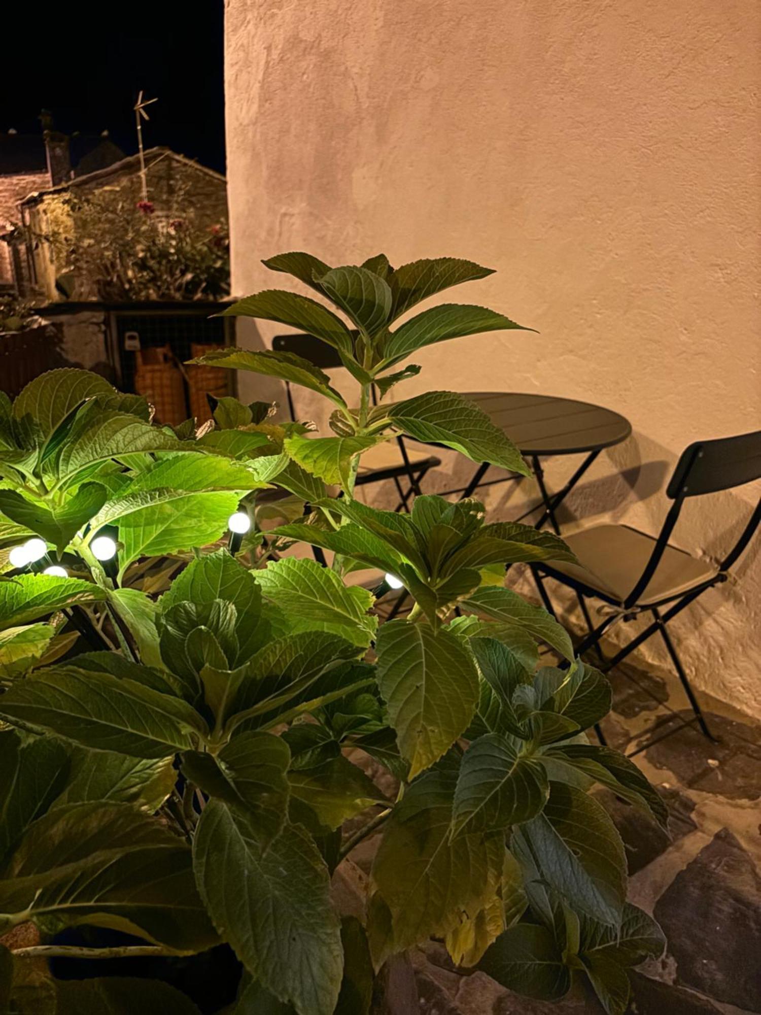 Encanto De Xisto Piodao Bagian luar foto